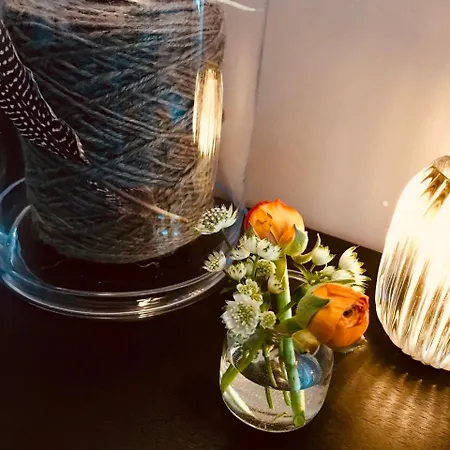 库尔酒店 3* 新明斯特