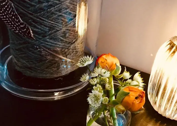 库尔酒店 3* 新明斯特